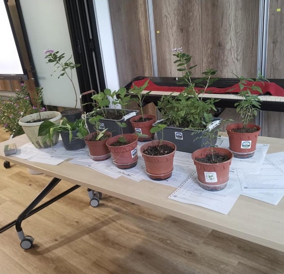 Potted plants and seedlings set out for the Farming Circle plant exchange